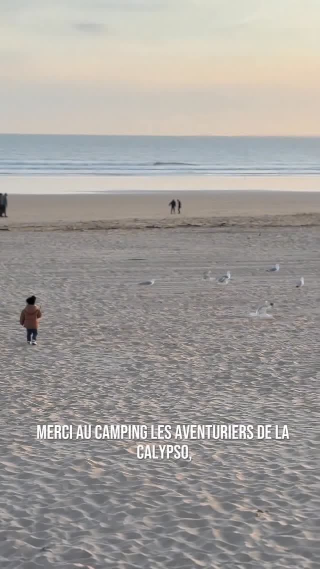 Un enfant court sur la plage au coucher du soleil, entre les mouettes.