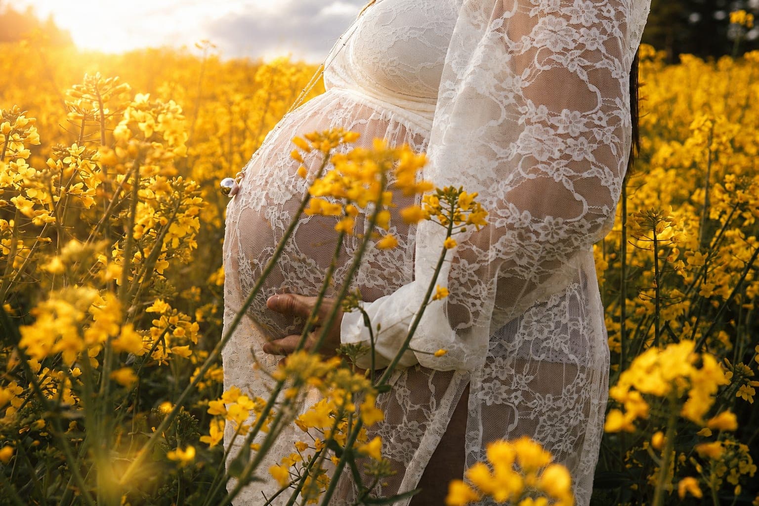 Le ventre encadré de fleurs jaunes, en pleine lumière.